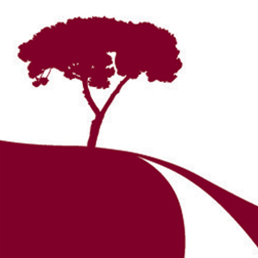 Palatine Capital Partners logo