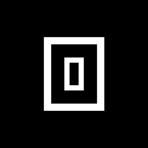 Black Salmon Capital logo