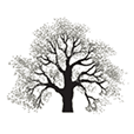 Edgewood Holdings logo