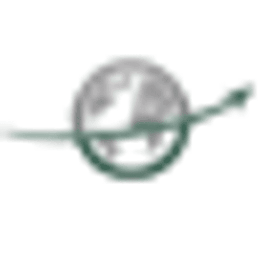 LSG Holdings logo