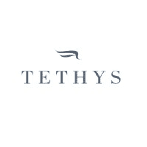 Tethys Equity logo