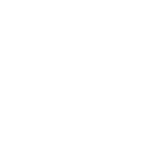 Prudent Management Associates logo
