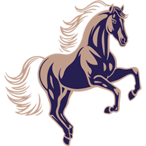 Fillmore Capital Partners logo
