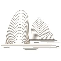 White Knight Capital logo