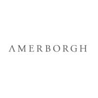 Amerborgh International N.V. logo