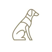 DAO FAMILY logo