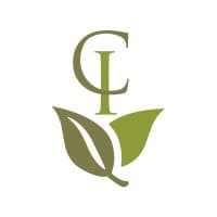 Capital Insight Partners. LLC logo