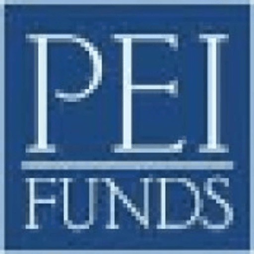 Private Equity Investors, Inc. logo