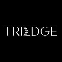 TriEdge Investments logo
